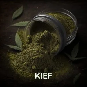 Kief